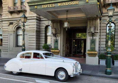 White Classic Jags