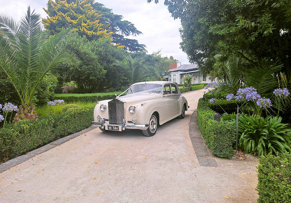 White Classic Wedding Car Hire - All About Class White Classic Wedding Car Hire - All About Class